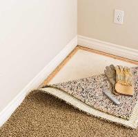 Carpet Pro Services image 4